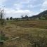  Grundstück zu verkaufen in Tabio, Cundinamarca, Tabio