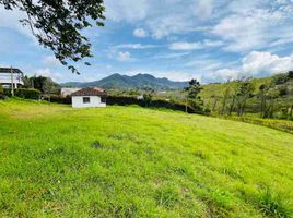  Land for sale in El Carmen De Viboral, Antioquia, El Carmen De Viboral