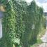  Land for sale in Morelia, Michoacan, Morelia, Michoacan