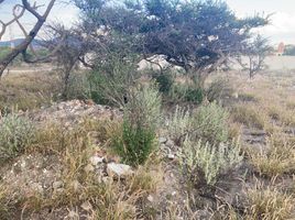  Grundstück zu verkaufen in Tequisquiapan, Queretaro, Tequisquiapan