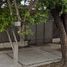 4 Bedroom House for sale in Leon, Guanajuato, Leon