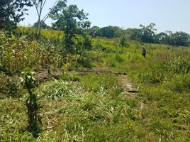  Terreno (Parcela) en venta en Archidona, Napo, Archidona, Archidona