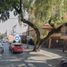 2 Bedroom Condo for sale in Miguel Hidalgo, Mexico City, Miguel Hidalgo