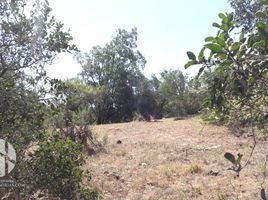  Land for sale in Melipilla, Santiago, Melipilla, Melipilla