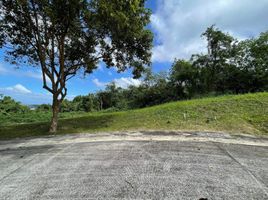  Grundstück zu verkaufen in Calamba City, Calabarzon, Calamba City