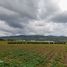  Terrain for sale in Oaxaca International Airport, Dist Tlacolula, Dist Tlacolula