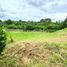  Land for sale in Cavite, Calabarzon, Silang, Cavite