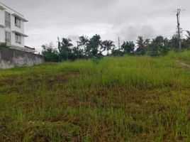  Land for sale in Talisay City, Cebu, Talisay City