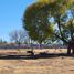  Land for sale in Juarez, Chihuahua, Juarez