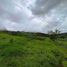  Land for sale in Marcos Castellanos, Michoacan, Marcos Castellanos