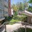 3 Habitación Apartamento en venta en Miguel Hidalgo, Ciudad de México, Miguel Hidalgo