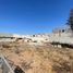  Land for rent in Tijuana, Baja California, Tijuana, Baja California