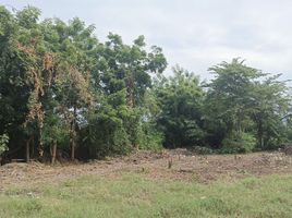  Terreno (Parcela) en venta en Guayas, Guayaquil, Guayaquil, Guayas