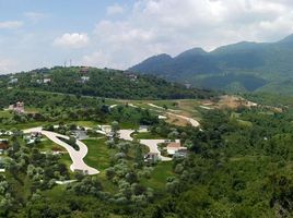 Terrain à vendre à Calamba City, Calabarzon, Calamba City