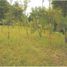  Land for sale in Kembangan, Jakarta Barat, Kembangan