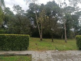  Terreno (Parcela) en venta en Moniquira, Boyaca, Moniquira