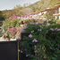 4 Schlafzimmer Haus zu verkaufen in Valle De Bravo, Mexico, Valle De Bravo