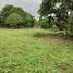  Land for sale in Santo Domingo De Los Tsachilas, Santo Domingo De Los Colorados, Santo Domingo, Santo Domingo De Los Tsachilas