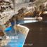 Land for sale in Cozumel, Quintana Roo, Cozumel, Quintana Roo