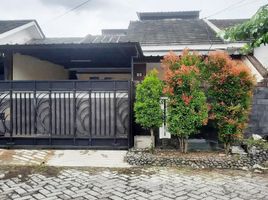 3 Kamar Rumah for rent in Jember, East Jawa, Sumbersari, Jember