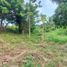  Land for sale in Cavite, Calabarzon, Tagaytay City, Cavite