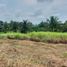  Land for sale in Cavite, Calabarzon, Tagaytay City, Cavite