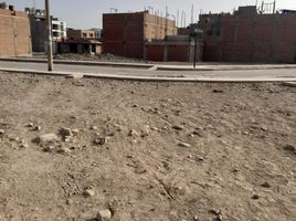  Land for sale in Carabayllo, Lima, Carabayllo, Lima, Lima