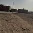  Land for sale in Carabayllo, Lima, Carabayllo, Lima, Lima