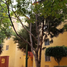 2 Schlafzimmer Wohnung zu verkaufen in Alvaro Obregon, Mexico City, Alvaro Obregon
