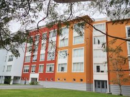 4 Habitación Departamento en alquiler en University of Piura (Lima campus), Miraflores, Barranco