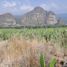  Land for sale in Tlayacapan, Morelos, Tlayacapan