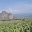  Land for sale in Tlayacapan, Morelos, Tlayacapan