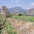  Land for sale in Tlayacapan, Morelos, Tlayacapan