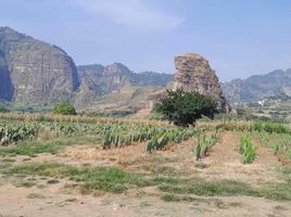  Land for sale in Tlayacapan, Morelos, Tlayacapan