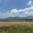  Land for sale in Tlayacapan, Morelos, Tlayacapan