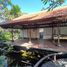 5 Habitación Casa en alquiler en Denpasar, Bali, Denpasar Timur, Denpasar