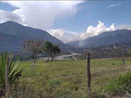  Terreno (Parcela) en venta en Huancabamba, Oxapampa, Huancabamba