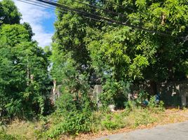  Land for sale in Paranaque City, Southern District, Paranaque City