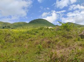  Land for sale in Bohol, Central Visayas, Maribojoc, Bohol