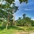  Terreno (Parcela) en venta en San Juan, Calabarzon, San Juan, Batangas