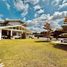 4 Bedroom House for rent in Talisay City, Central Visayas, Talisay City, Cebu, Central Visayas