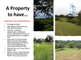  Land for sale in La Union, Ilocos, Rosario, La Union