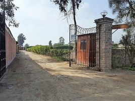  Land for sale in Pachacamac, Lima, Pachacamac