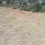  Land for sale in Mineral Del Chico, Hidalgo, Mineral Del Chico