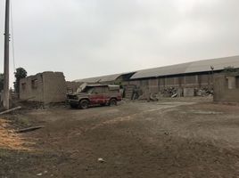  Grundstück zu verkaufen in Comas, Lima, Comas, Lima, Lima, Peru