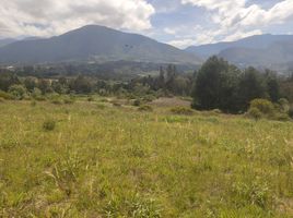  Terreno (Parcela) en venta en Villa De Leyva, Boyaca, Villa De Leyva