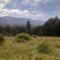  Terrain for sale in Villa De Leyva, Boyaca, Villa De Leyva