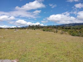  Terreno (Parcela) en venta en Sutamarchan, Boyaca, Sutamarchan