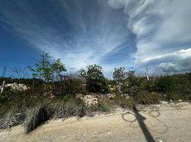  토지을(를) Chicxulub Pueblo, 유카탄에서 판매합니다., Chicxulub Pueblo