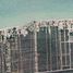  토지을(를) Chicxulub Pueblo, 유카탄에서 판매합니다., Chicxulub Pueblo